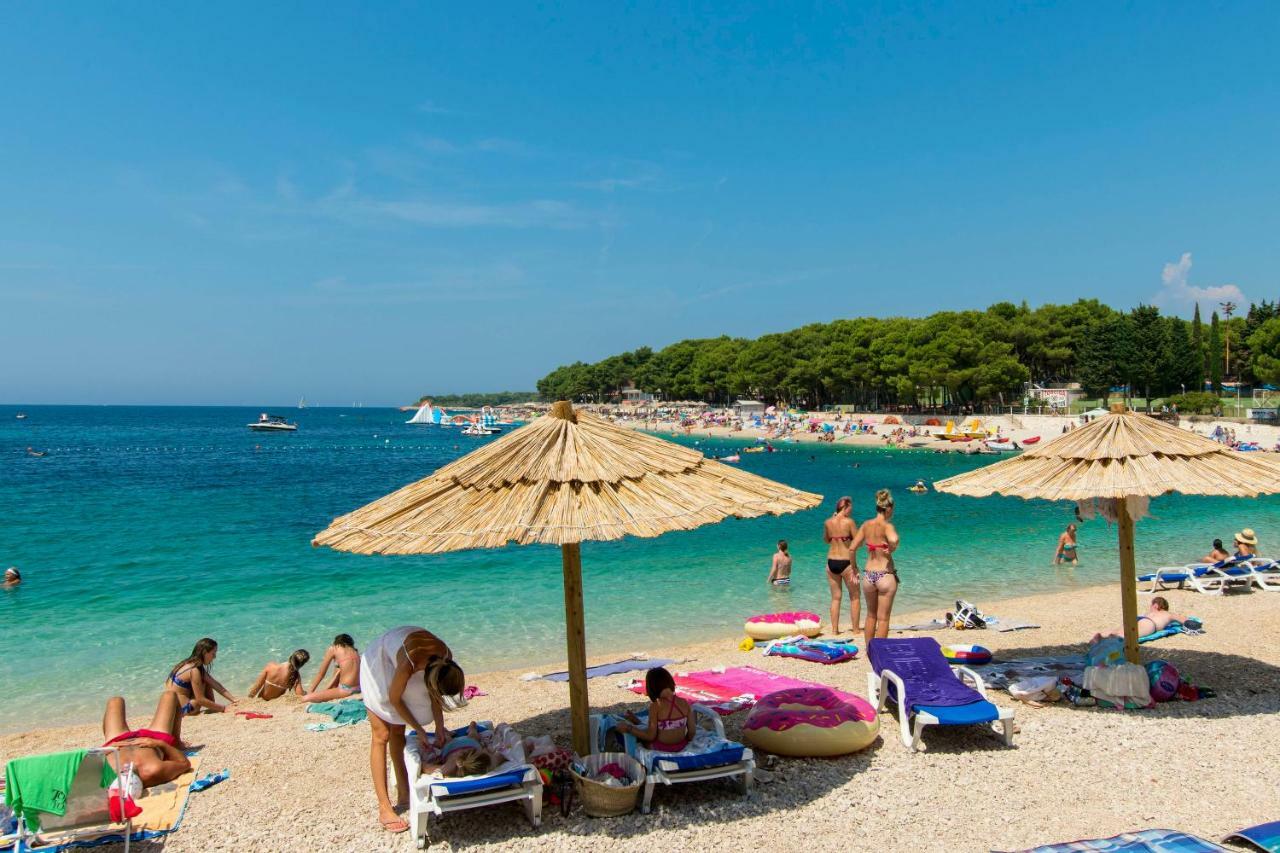Apartments Dasa Primošten Εξωτερικό φωτογραφία